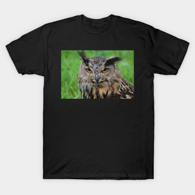 european eagle owl T-Shirt by declancarr